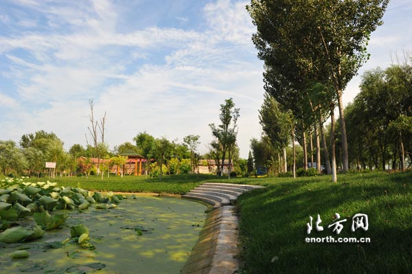 天津“清潔村莊”行動見成效 農村舊貌換新顏