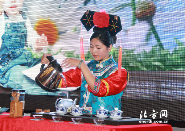 天津第三屆北方杭白菊文化節開幕