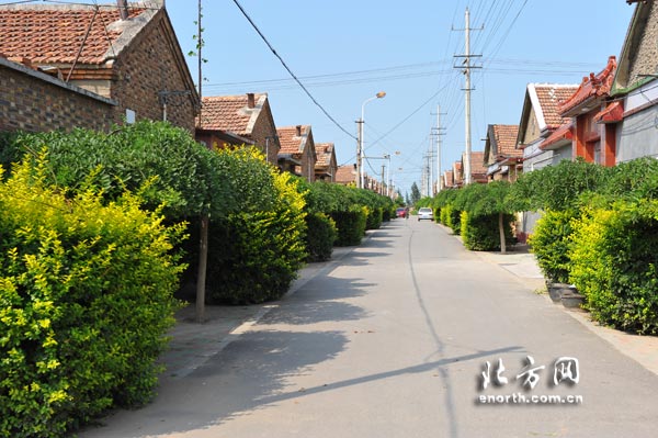 天津2015年建1360個清潔村莊 完善長效管護機制