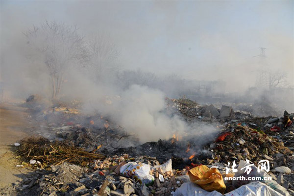 焚燒樹葉垃圾現象仍存在 市民發現可舉報