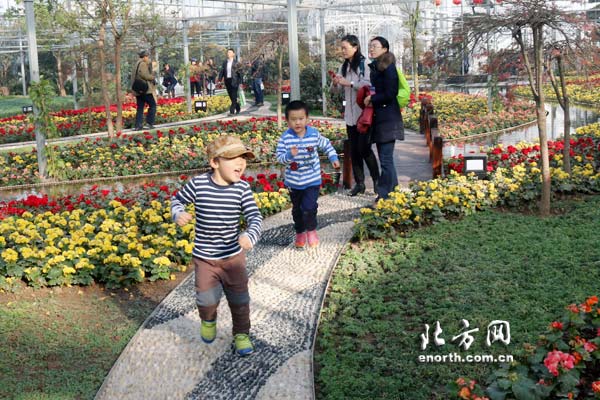 天津特色休閒農業轉型升級 市民樂享津郊假期