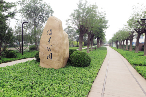 天津城市绿道变长了 将用绿道串起公共设施(图
