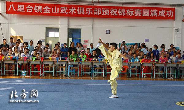2015年天津市青少年武术套路锦标赛在津南举