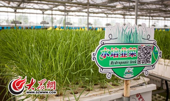 中南建筑设计院_北方设计院 收入(3)