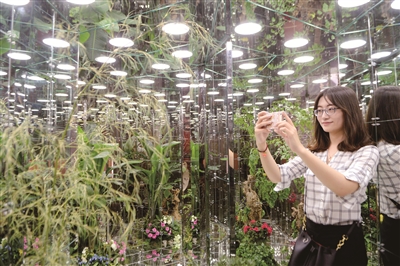 天津国际设计周开幕 看诺亚花园赏欲望之花(图)