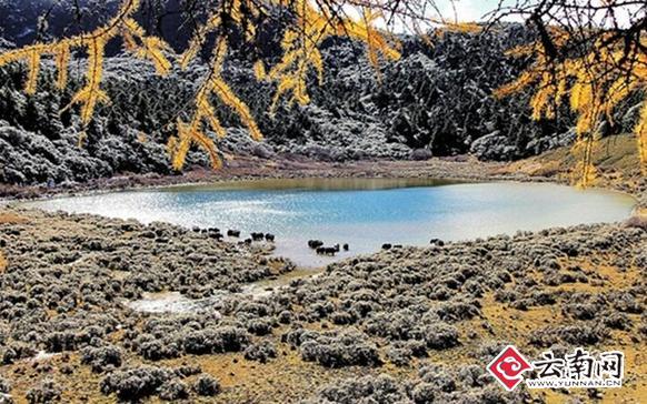 云南新增八处湿地 自然景观各具特色