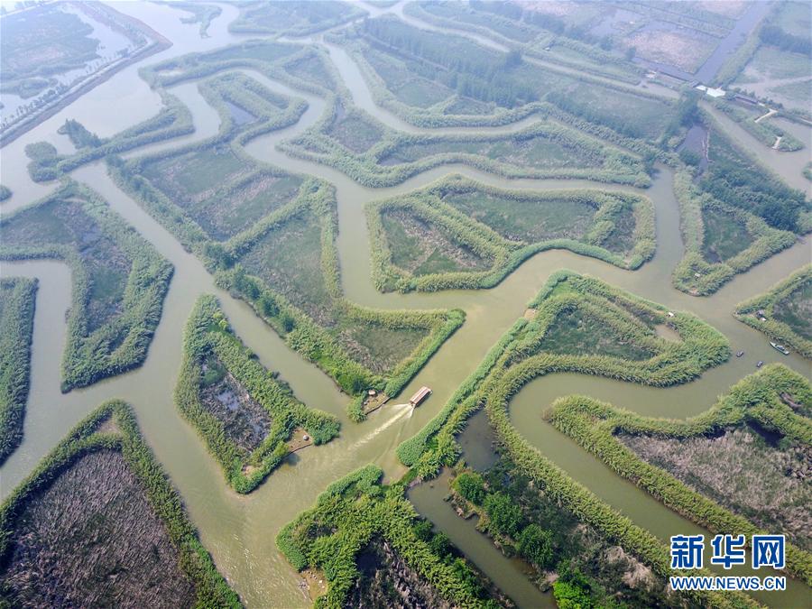 江苏泗洪打造湿地旅游名片