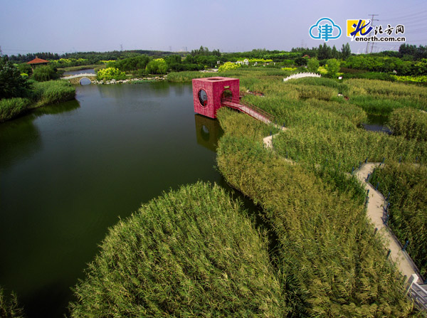 飞瞰天津湿地:临港湿地公园 打造生态型工业区