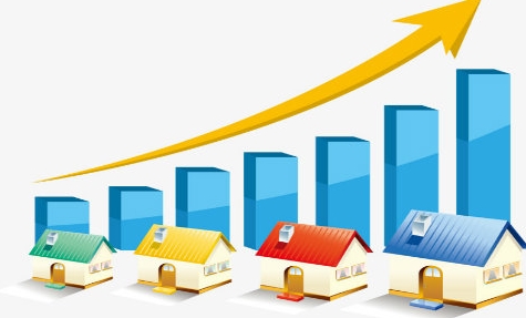 个人收入证明_个人收入和发展平台(3)