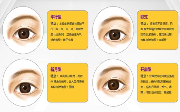 ���������ר����