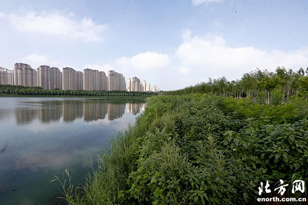 段春华在市规划局和东丽区津南区调研时强调: