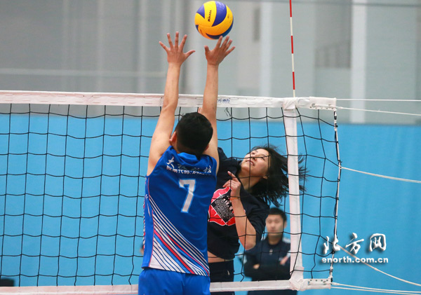 奥运冠军参赛 天津市第四届业余排球联赛将开