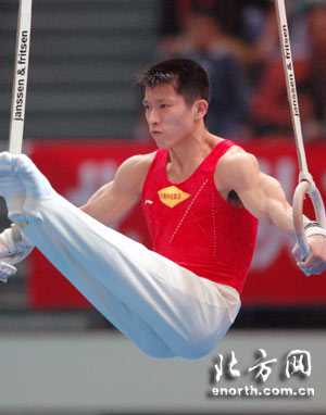 "吊环王"董震摘得银牌 不敌东道主屈居亚军