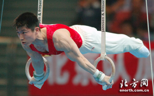 "吊环王"董震摘得银牌 不敌东道主屈居亚军