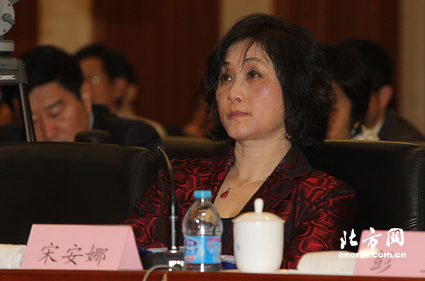 宋安娜:架橋樑 做參謀 盡一份人大代表的責任