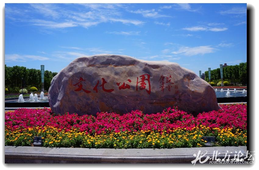 网友实拍武清区文化公园风景如画吸引人