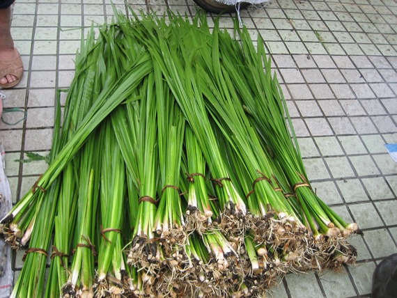 泰宁人尤其是农村,会在中午采集艾枝菖蒲和中草药,泰宁叫"午时茶.