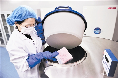 子宫内膜再生细胞研究 入选国家重大科技专项