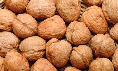 近日核桃的市场批发价格稳中看涨 - 北方网