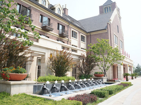 中北镇醇熟低密大盘:云锦世家