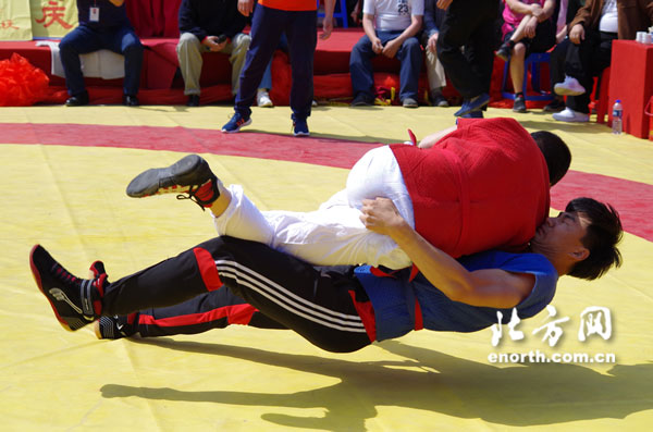 赛会最终决出了中国式摔跤各个组别的优胜者,王恩信,肖玉田,刘双印,黄