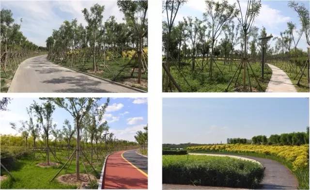 东丽区的三大郊野公园都建设到什么程度了