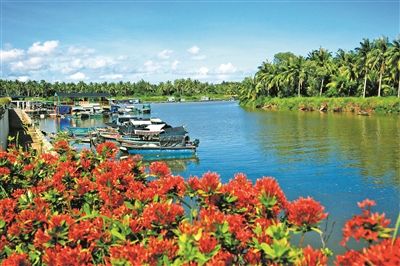 三亚海棠区藤桥河畔好风光