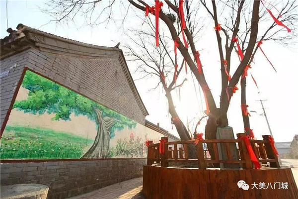 宝坻区八门城镇苔花如米亦芬芳