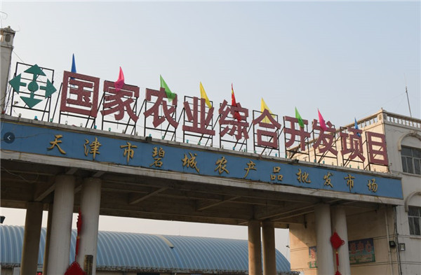 辛口镇主动作为协同联动津冀发展