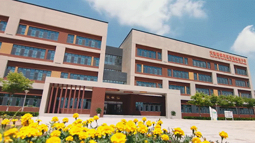 天津逸阳小学分校,天津一中分校(初中),天津一中滨海学校(高中),12年