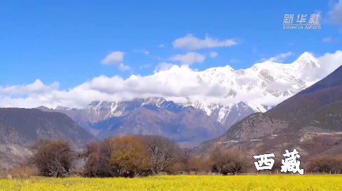 跨越万水千山的深情