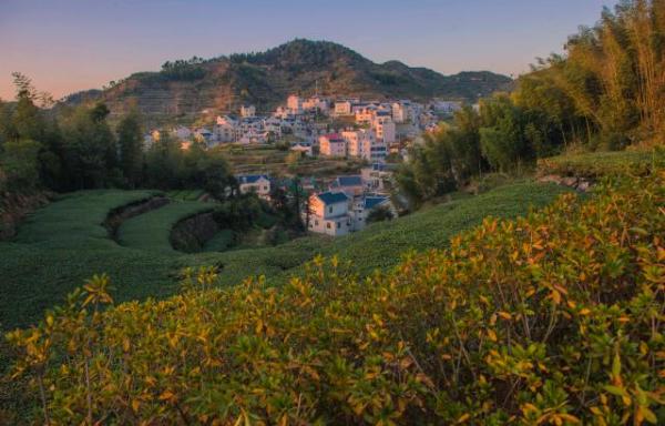 同安区志愿者在淡溪村陪老人们做游戏.