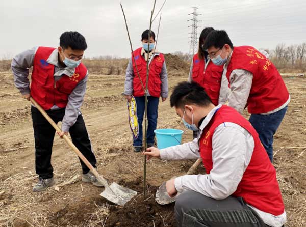 青年志愿者开展植树节主题活动 倡导绿色生活-新闻中心-北方网