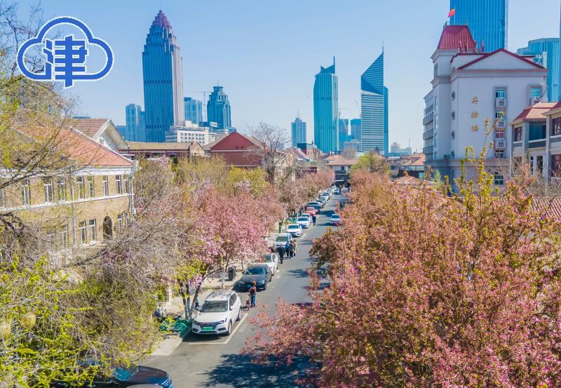 天津北方网讯:连日来,位于和平区大理道两侧的海棠花竞相绽放,吸引