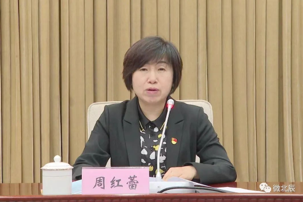 领导小组常务副组长郭莹区委常委,区纪委书记,区监委主任天津北方网讯