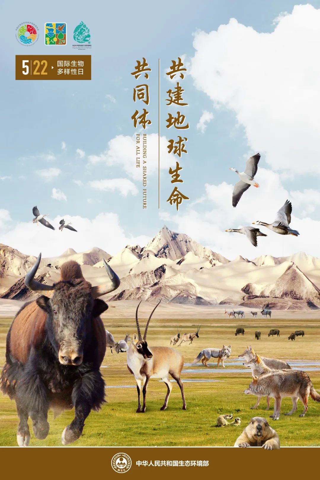 生态环境部发布2022年国际生物多样性日宣传海报