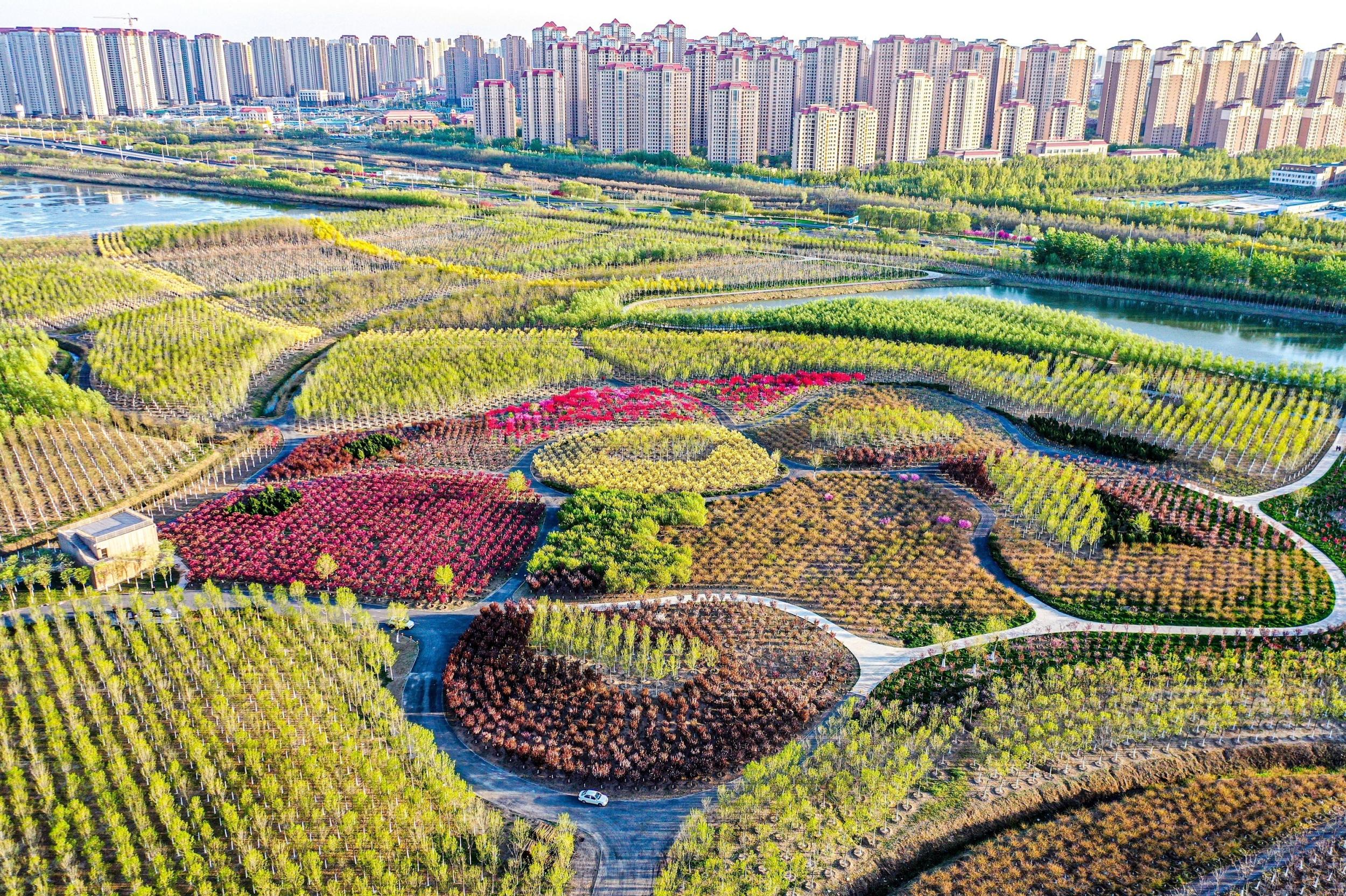 津南区阔步走出绿色高质量发展的光明大道