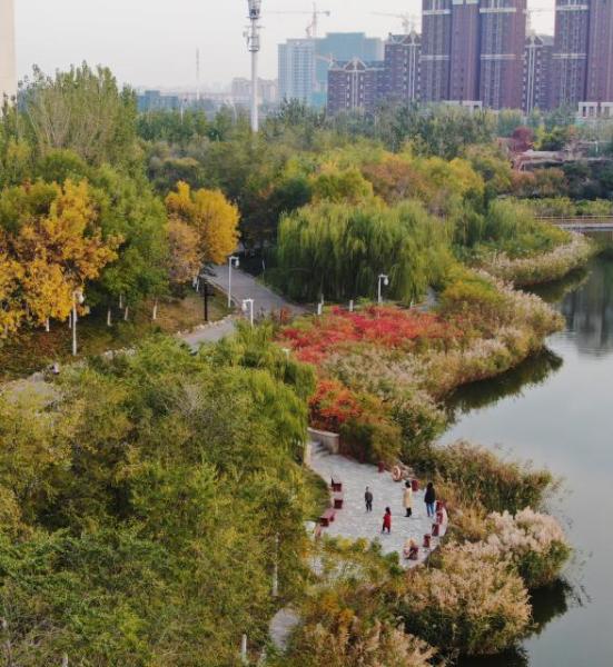 2,市民在经开区于家堡滨河公园内赏秋景海河河畔两岸的秋景秋景秋天