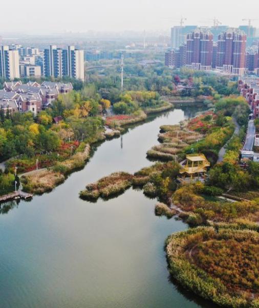 2,市民在经开区于家堡滨河公园内赏秋景海河河畔两岸的秋景秋景秋天