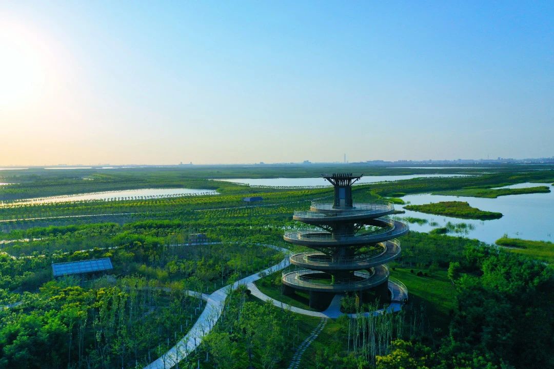 津南2023进击而上