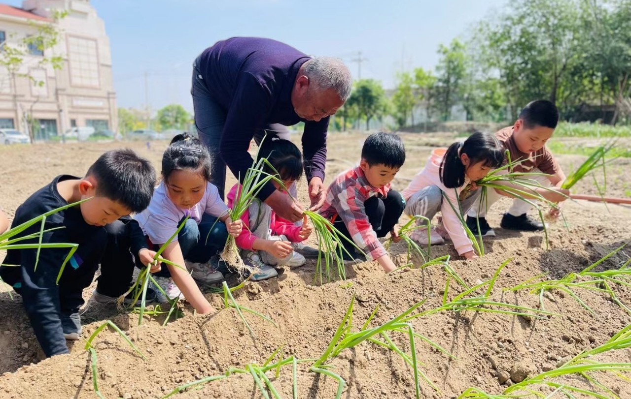 体验农耕文化——八里台镇碧桂园第二社区"五爱"教育阵地开展儿童农耕