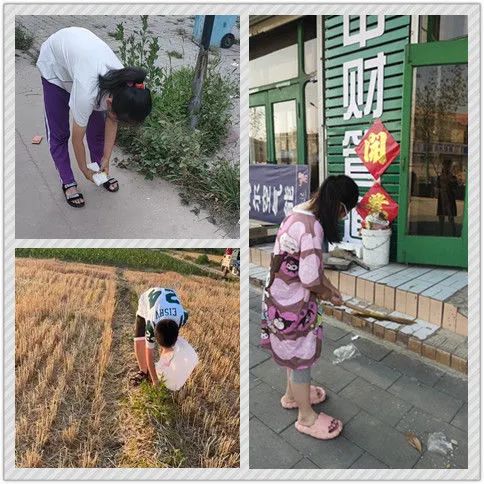 爭做文明有禮天津人唐官屯鎮靳官屯小學快樂營地彎彎腰拾起一片文明