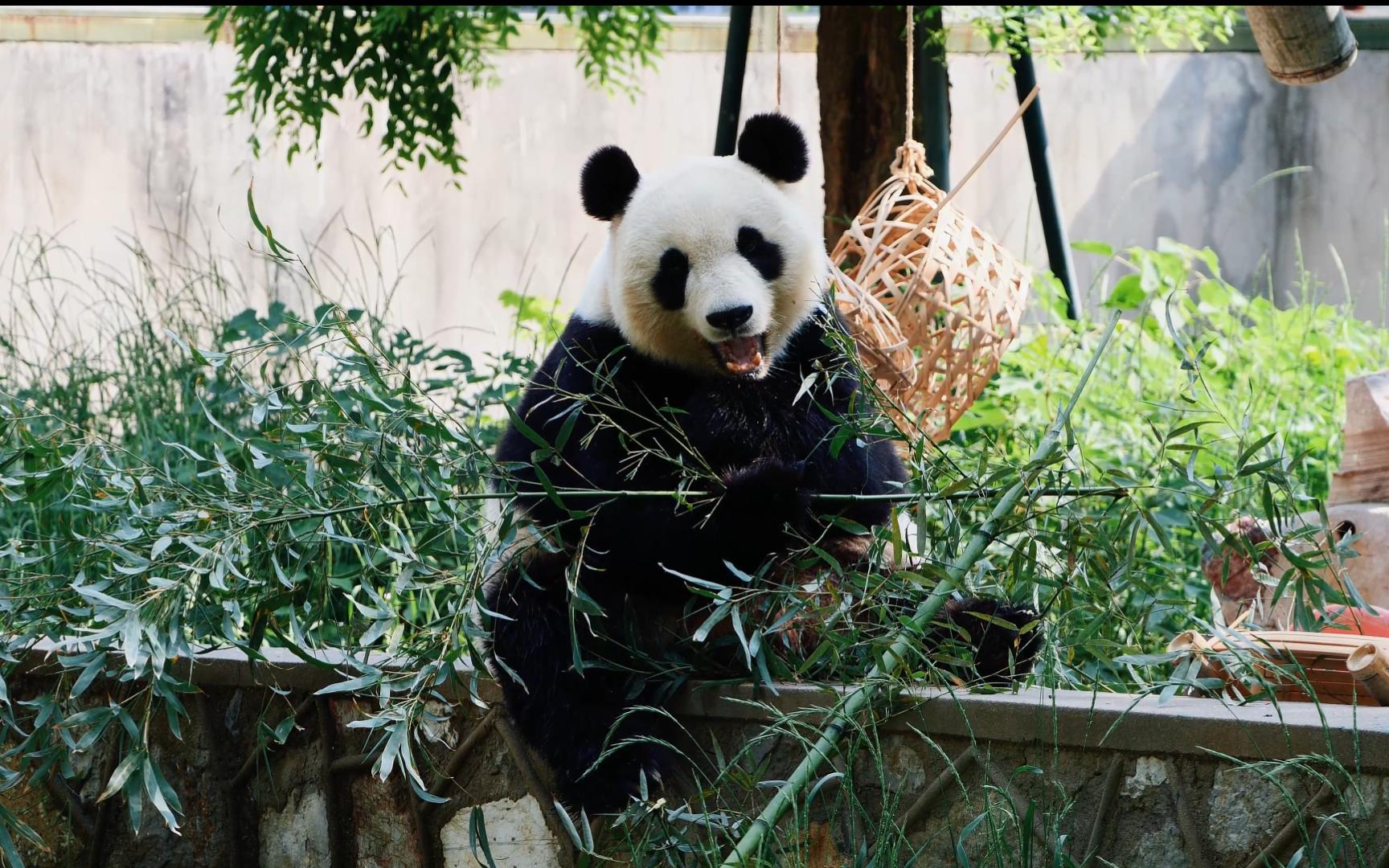 房屋外墙破损,漏水 - 政民零距离