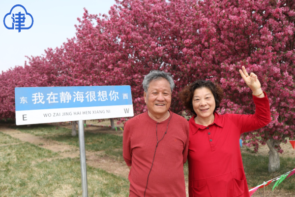 海棠花季没过去第七届天津市静海海棠文化节开始纳客